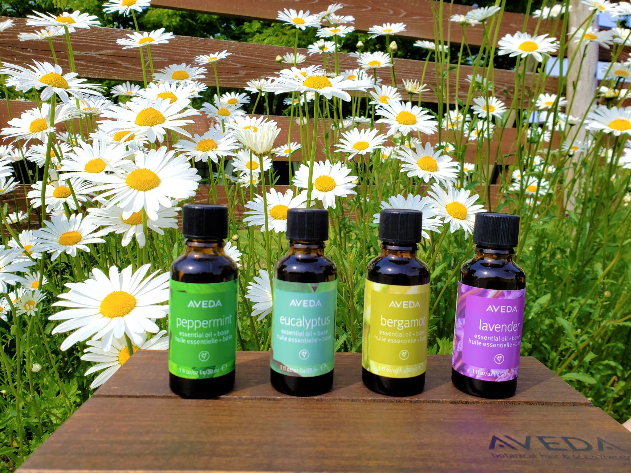 AVEDA シンギュラーノート ベルガモット 30ml シンギュラーノート